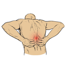 Back Pain Exercises 1 APK