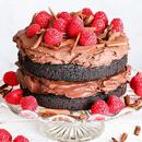 Vegan cakes recipes APK