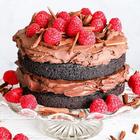 Vegan cakes recipes icon