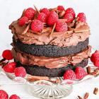 Vegan cakes recipes ikon