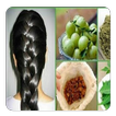 home remedies for hair guide