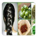 home remedies for hair guide APK
