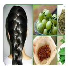 home remedies for hair guide icône