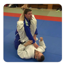 Brazilian Jiu‐Jitsu guide APK