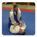 Brazilian Jiu‐Jitsu icon