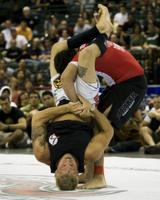 Brazilian Jiu‐Jitsu screenshot 1