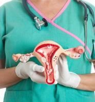 Cervical cancer guide screenshot 1