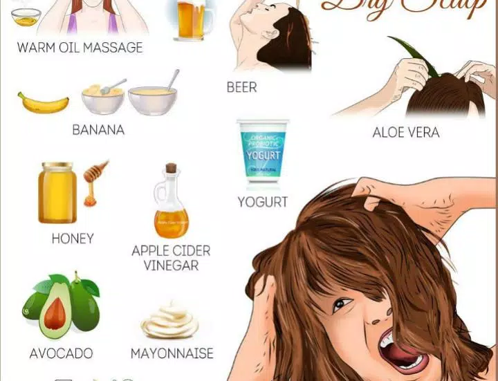 Home remedies for dry hair APK for Android Download