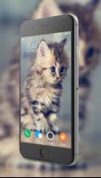 Cute Kitten Wallpaper screenshot 3