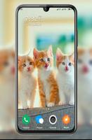 Cute Kitten Wallpaper screenshot 2