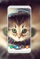 Kitten Wallpaper bài đăng