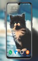 Kitten Wallpaper ảnh chụp màn hình 2