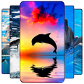 Dolphin Wallpapers
