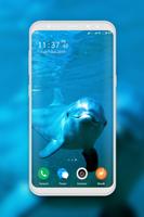 Dolphin Wallpapers الملصق