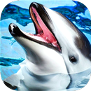 Dolphin Wallpaper APK