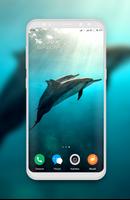 Dolphin Wallpaper Plakat