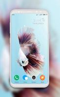 Betta Fish Wallpaper penulis hantaran