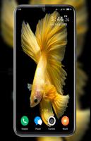 Betta Fish Wallpaper syot layar 2