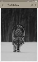 Wolf Wallpapers capture d'écran 2