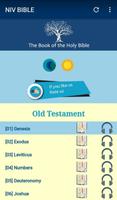 Holy Bible NIV Free Affiche