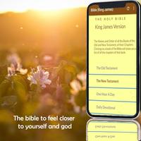 King James Bible (KJV) Radio 海报