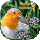 Relaxing nature music icon