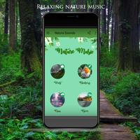 Relaxing nature music poster