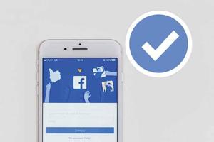 Request Badge Verification captura de pantalla 1