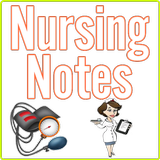 Best Nursing Notes ícone