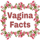 Vagina Facts-icoon