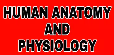 Human Anatomy and Physiology