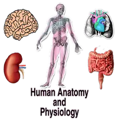 Human Anatomy and Physiology アプリダウンロード