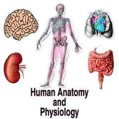 Human Anatomy and Physiology APK download