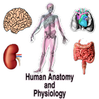 Human Anatomy and Physiology-icoon
