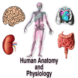 Human Anatomy and Physiology 图标