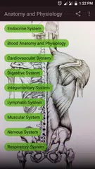 Human Anatomy and Physiology アプリダウンロード