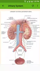Human Anatomy and Physiology アプリダウンロード