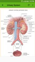 Human Anatomy and Physiology تصوير الشاشة 1