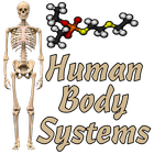 ikon Human Body Systems