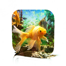 Goldfish Care APK