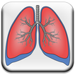 Common Airway Problems