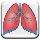 Common Airway Problems simgesi