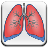 Common Airway Problems simgesi