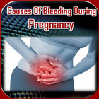 Bleeding In Pregnancy icône