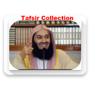Mufti Menk Lectures collection APK