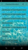 Practical Microbiology poster