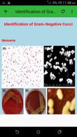 Practical Microbiology screenshot 1