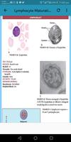 Clinical Hematology capture d'écran 1