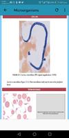 Clinical Hematology اسکرین شاٹ 2