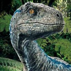 Dinosaur Wallpaper biểu tượng